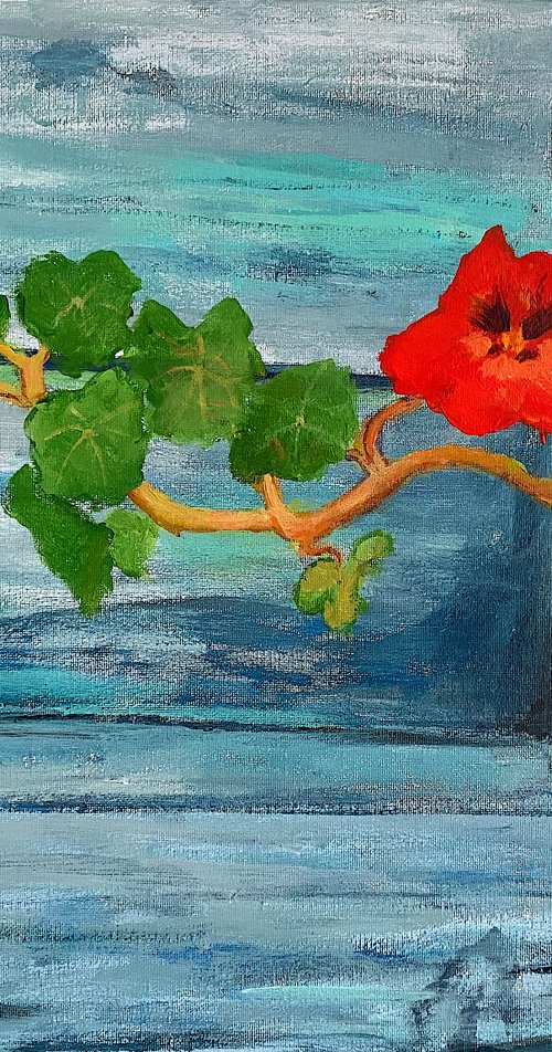 Nasturtium by Mutlu Ertac