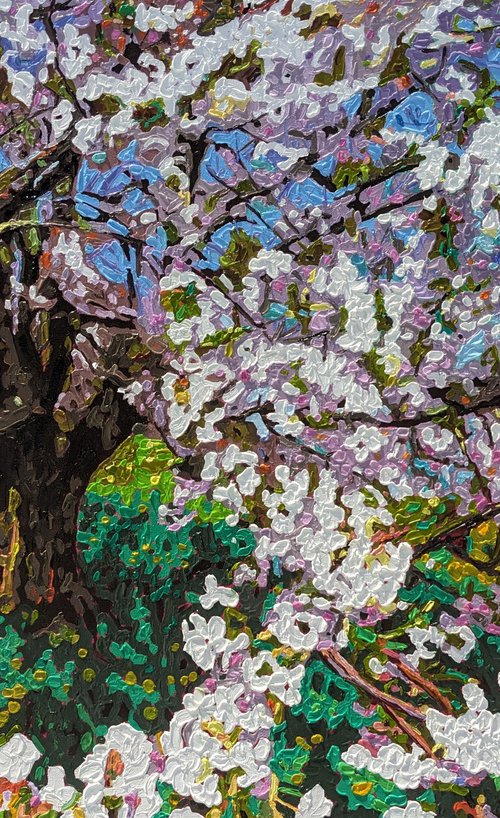 APPLE  BLOSSOM. by IrinaGoldenfish