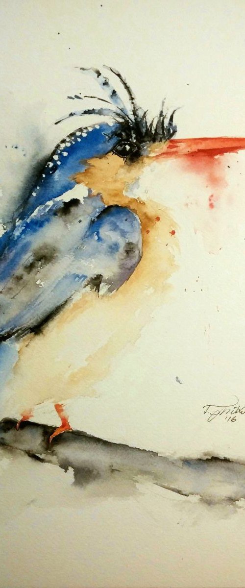 The Kingfisher by Tomasz Mikutel