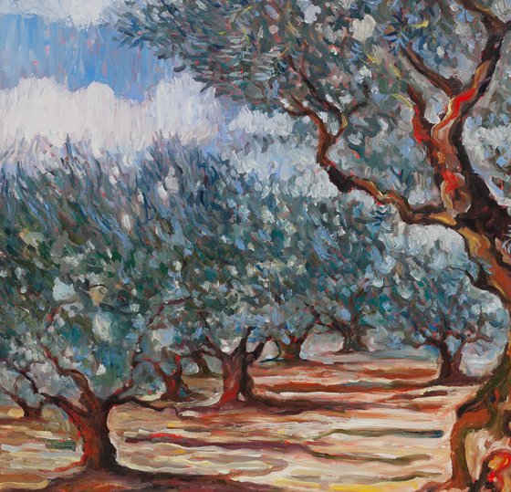 Olive Grove