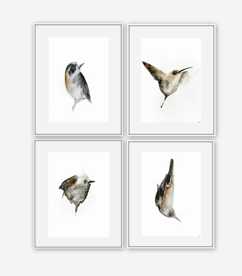 Set of 4 Bird paintings. by Nadia Moniatis