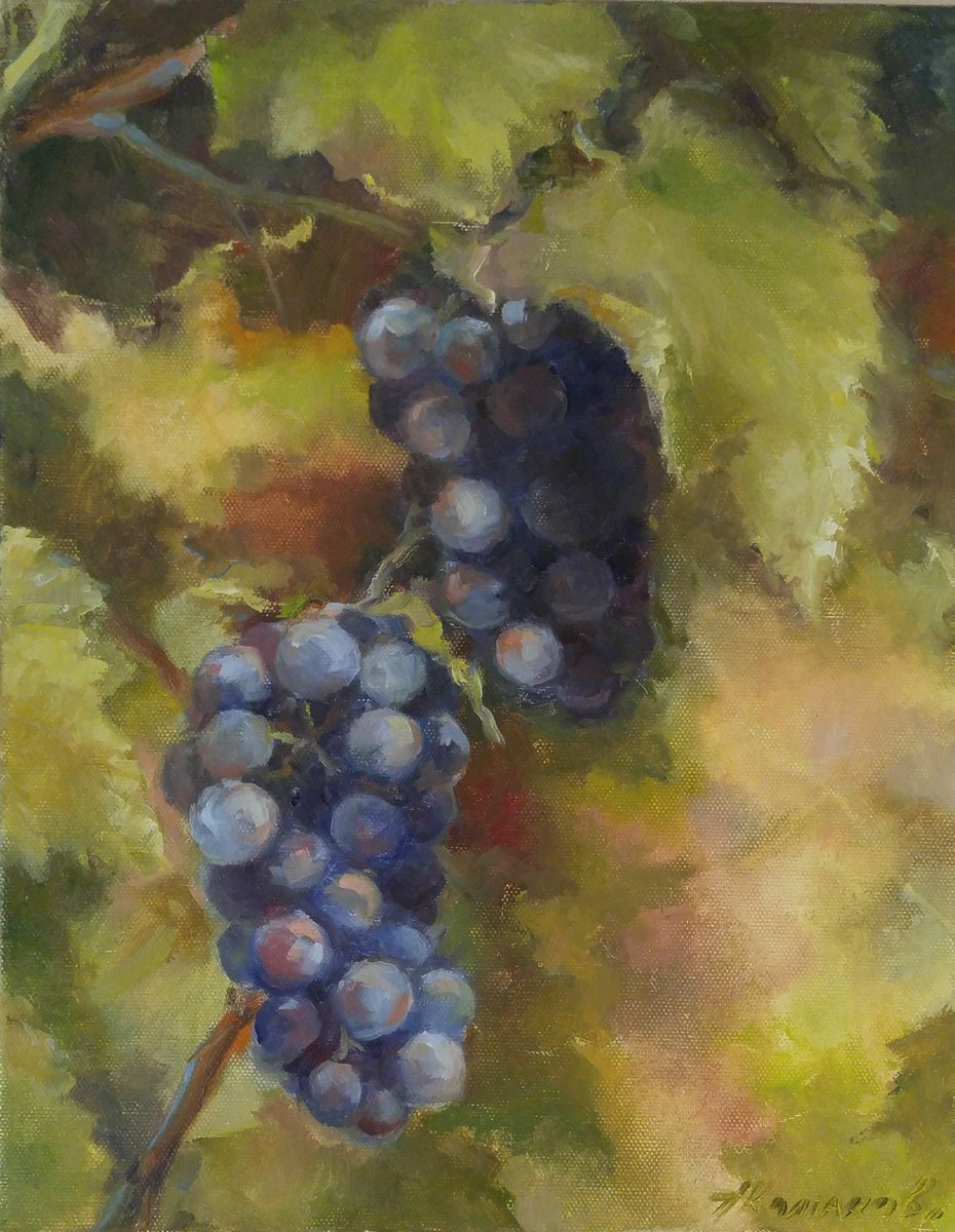 Impressionistic Botanical Oil Painting By Alexander Koltakov, 11 X 14, Grapes 2, Original Artwork