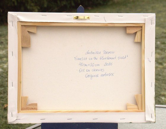 Sunset at the bluebonnet field