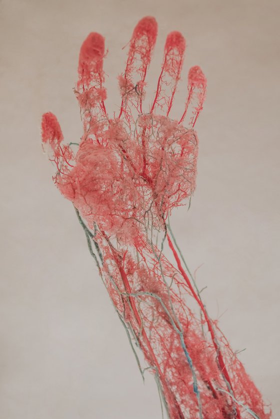 Biological Map No.1