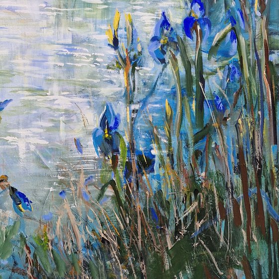 Blue irises at the lake