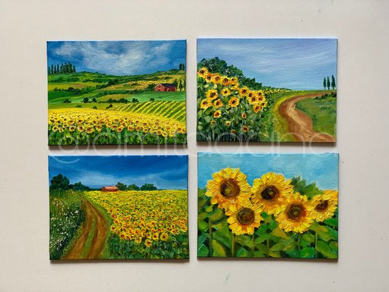 Sunflowers Field