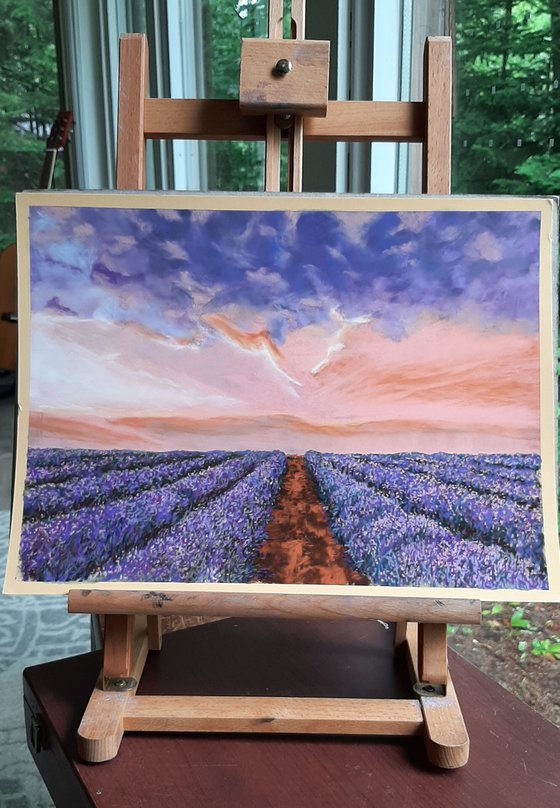 Lavender Fields