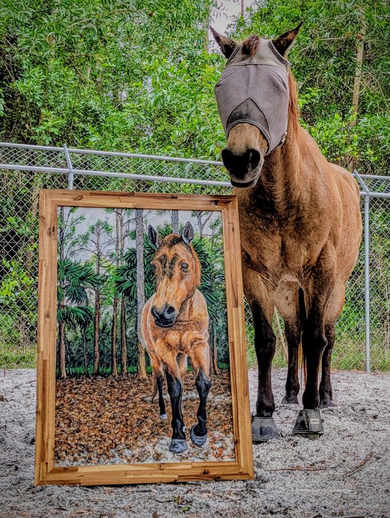 Diamond, Rescued Horse