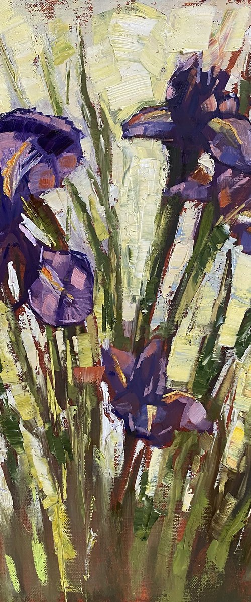 Sunny Irises by Irina Sergeyeva