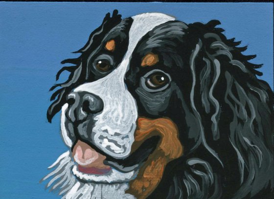 ACEO ATC Original Miniature Painting Bernese Mountain Pet Dog Art-Carla Smale