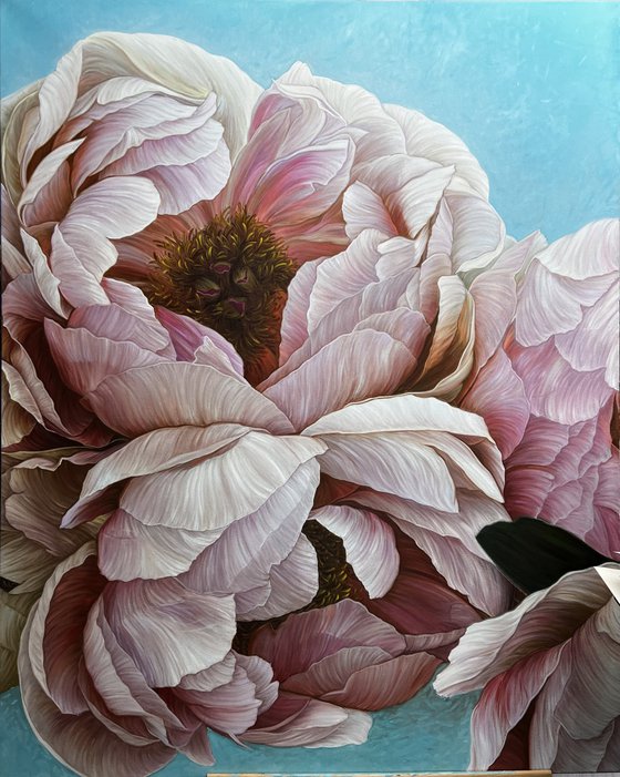 Coffee pink peonies