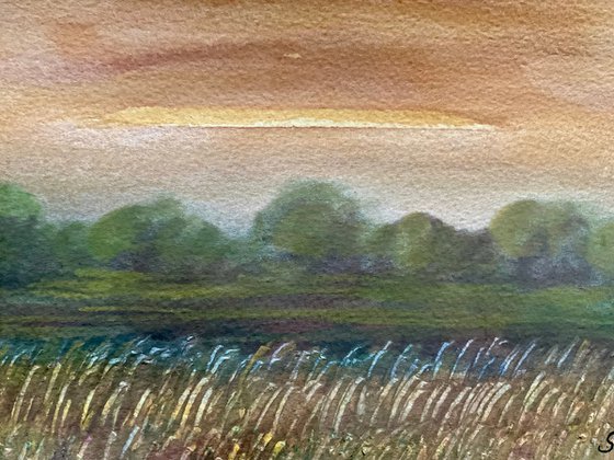 By the Grass Meadow