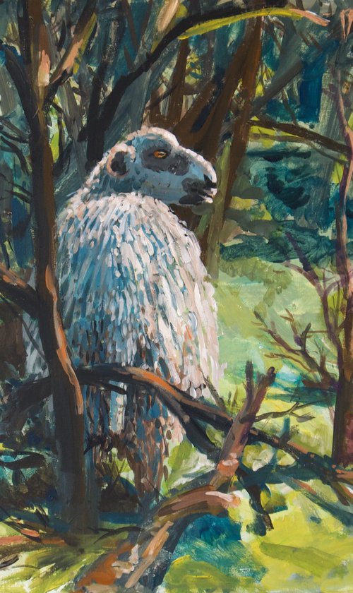 Wild Gaze II by Anastasia Chernysheva