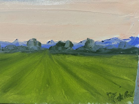 Sunset over the field. Plein air