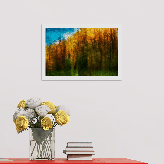 Nature Vibrations - Walking In The Woods. Limited Edition 1/50 15x10 inch Photographic Print