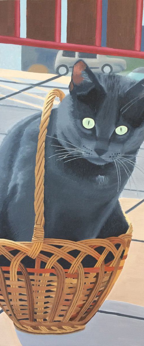 Cat in a Basket by Jill Ann Harper