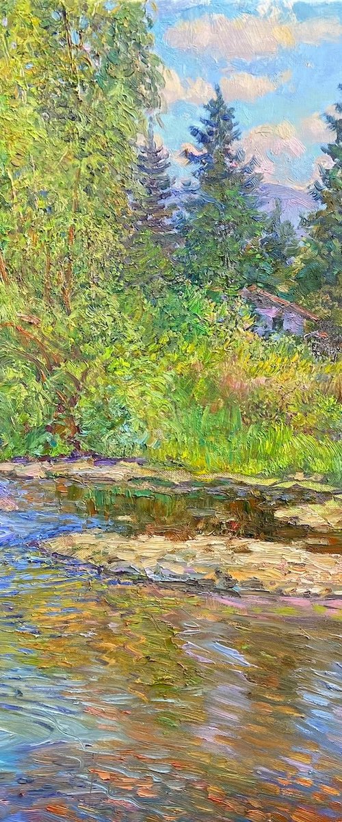 Dog Playing in the River by Aleksandr Dubrovskyy