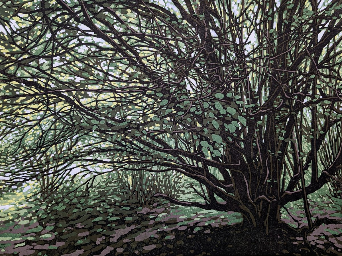 Impressionistic Landscape Linocut By Alexandra Buckle, 18 X 14, Entangled, Original Artwork