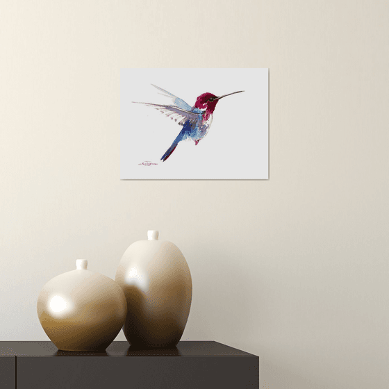 Hummingbird