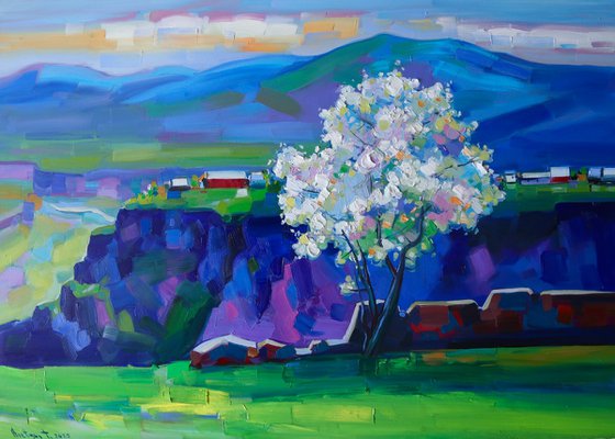 Spring in Lori