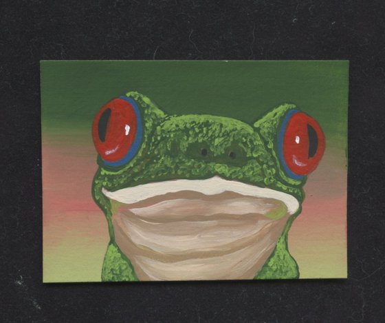 ACEO ATC Original Miniature Painting Red Eyed Tree Frog Wildlife Art-Carla Smale