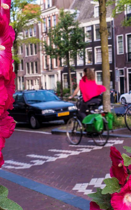 Cycling in Pink Amsterdam 2019 12'X8' 1/20 by Laura Fitzpatrick