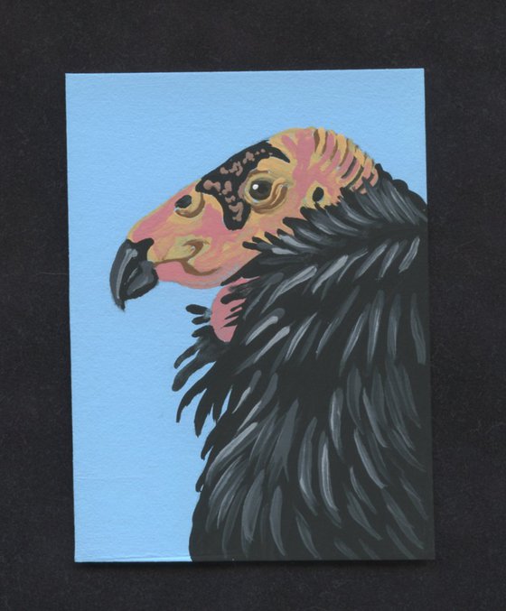 ACEO ATC Original Miniature Painting California Condor Vulture Bird Wildlife Art-Carla Smale