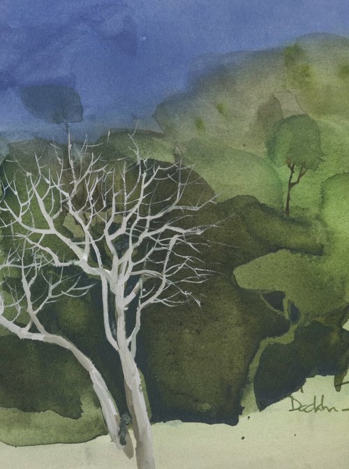 Himalayan summer greens by Prashant Prabhu