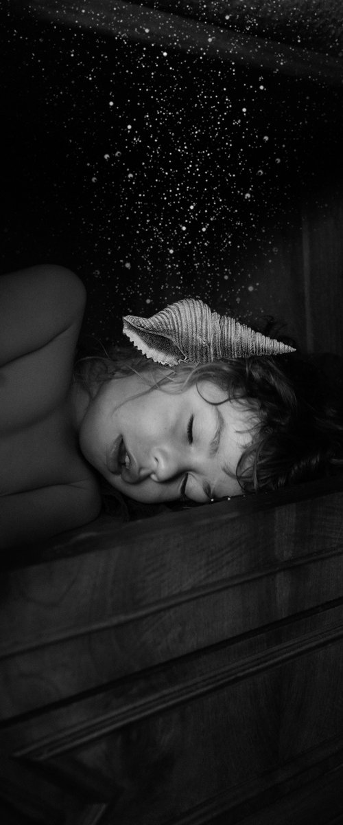 The Dream of the Seashell by Sarah Bouillaud