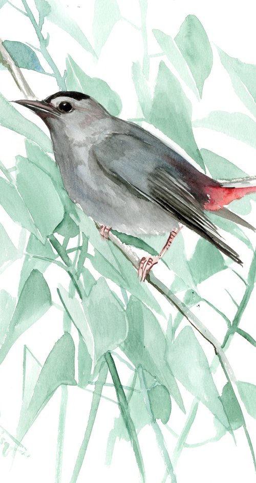 Gray Catbird, Bird artwork by Suren Nersisyan