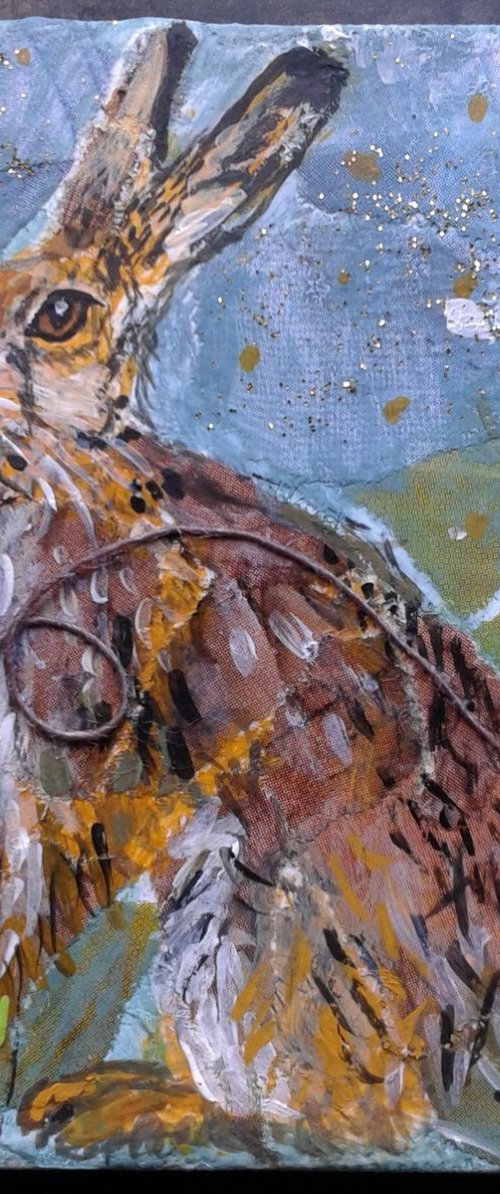 Hare by day by Fiona Plaisted