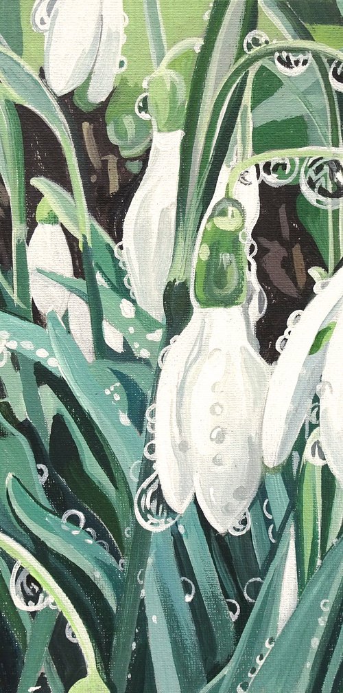 Snowdrops And Droplets by Joseph Lynch