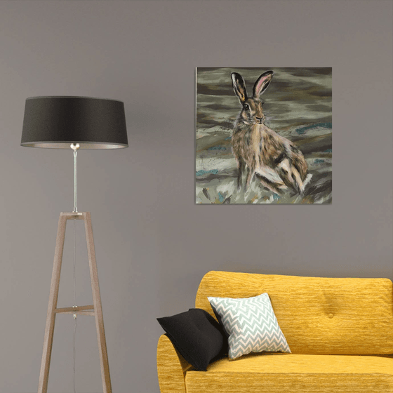 Moorland hare