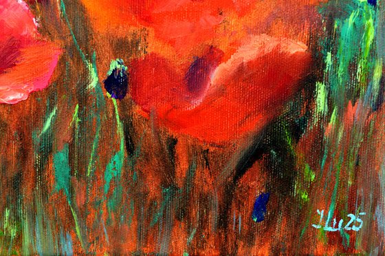 Coral Poppies
