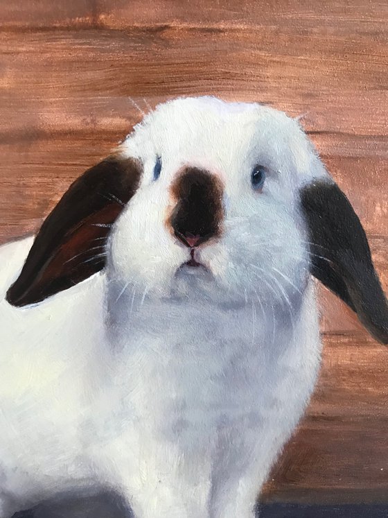 Snowflake. Original oil painting. Animal portrait. Bunny artwork.Easter bunny