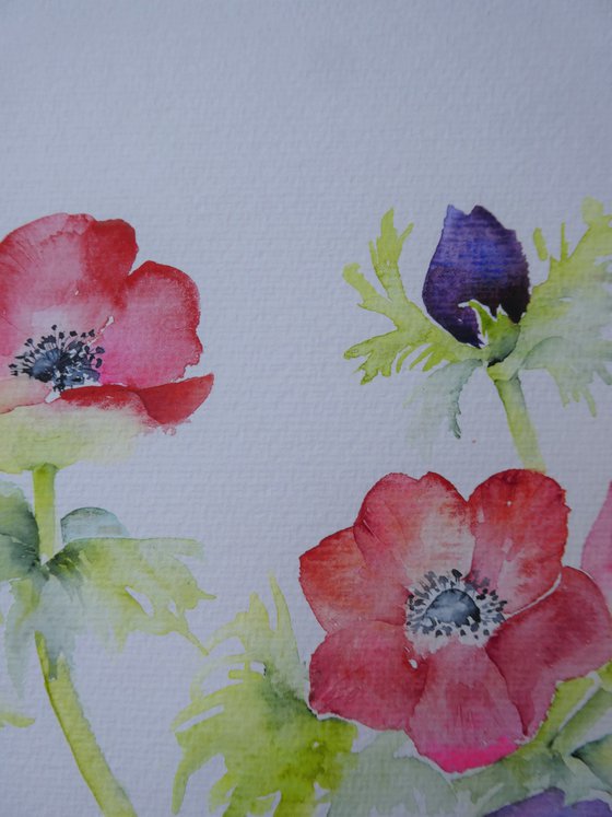 Anemone Promise -SOLD