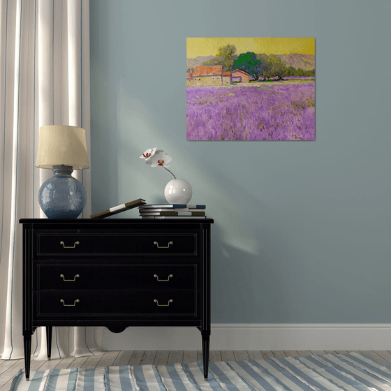 Lavender Field