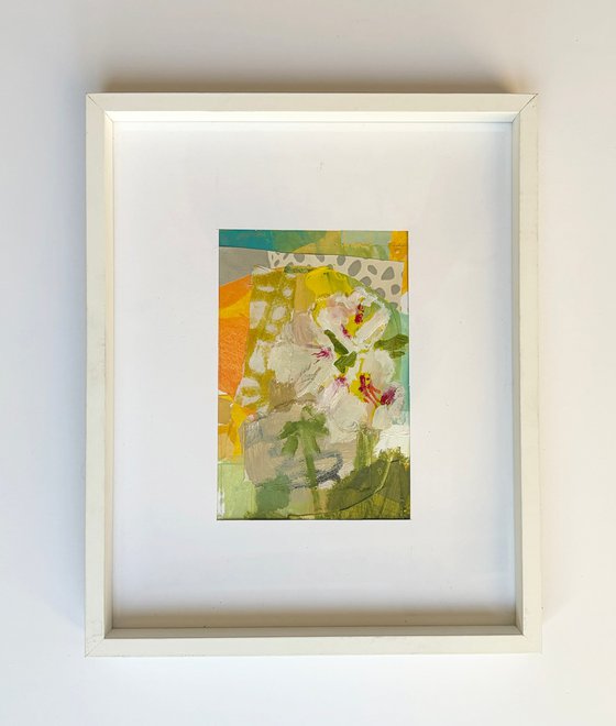 Geranium