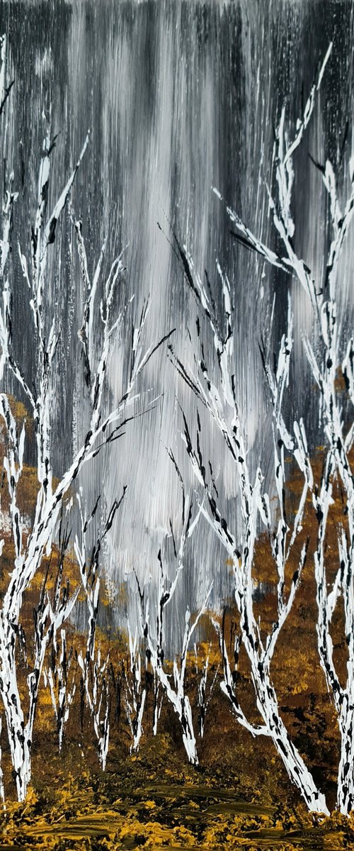 Birches In Winter by Daniel Urbaník