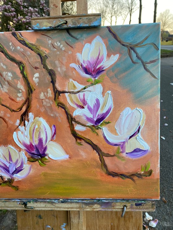 Dutch Magnolia