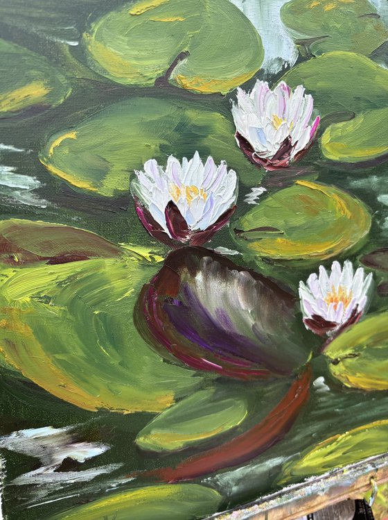 Serenity of Water Lilies