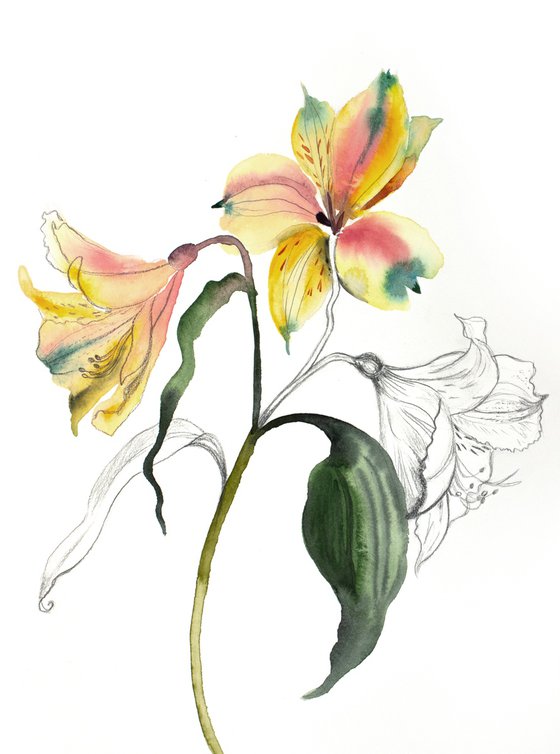 Lilies No. 6