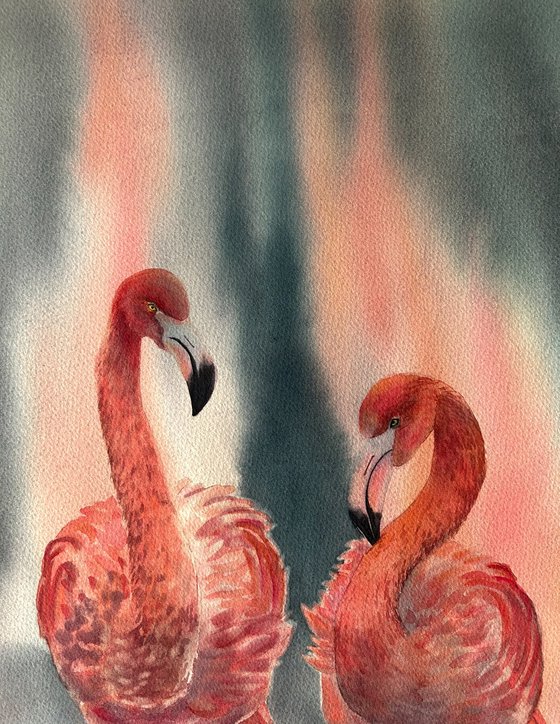 Flamingo