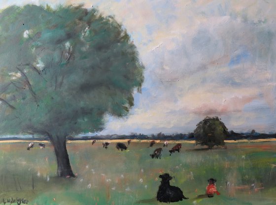 Cow Meadow