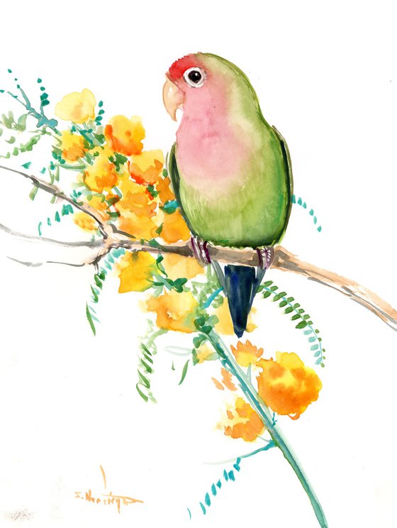 Lovebird