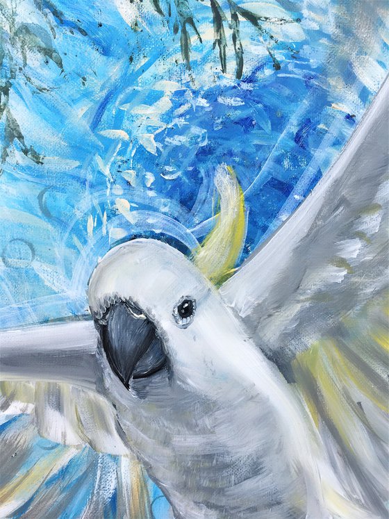 Soaring High – White Cockatoo