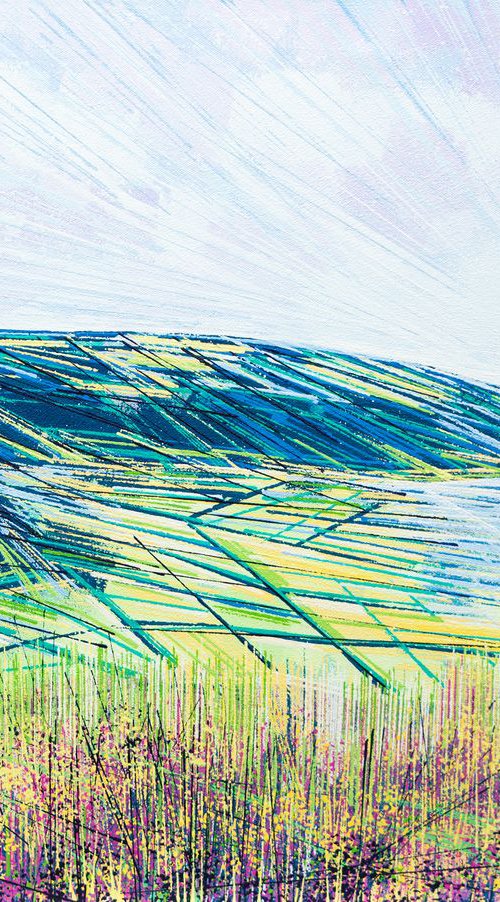 Exmoor In Spring by Marc Todd