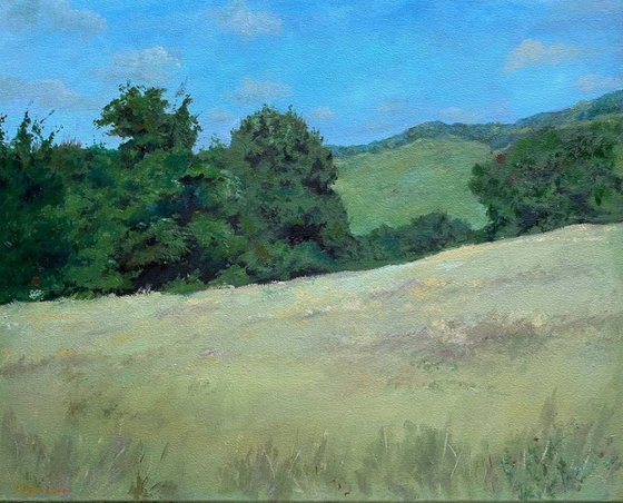 Wheat field