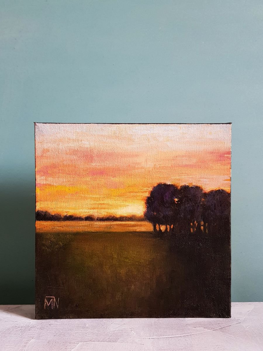 Sunset. Last minutes - 20 x 20 cm landscape oil painting (2019) by Mary Naiman