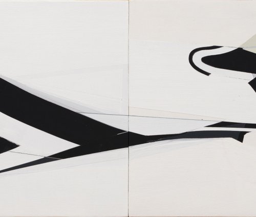 Killer Whale by Kazuhiro Higashi